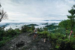 BIB: 
                            <button type="button" onclick="openModal(26372306)" class="btn btn-primary btn-sm float-right btn-popup" data-toggle="modal" data-target=".modal-high-quality">
                        <i class="fas fa-shopping-cart"></i> Add to Cart
                    </button>
                                            <button type="button" onclick="isThisMe(26372306, true)" class="btn btn-success btn-sm float-right btn-popup btn-isme hidden" data-toggle="tooltip" data-placement="bottom" title="นี่คือรูปของคุณใช่ไหม คลิกที่นี่เพื่อเอาเข้าอัลบั้ม">
                        <i class="fas fa-plus"></i> Add to album
                    </button>
                    <button type="button" onclick="isThisMe(26372306, false)" class="btn btn-warning btn-sm float-right btn-popup btn-isnotme hidden">
                        <i class="fas fa-ban"></i> Remove from album
                    </button>