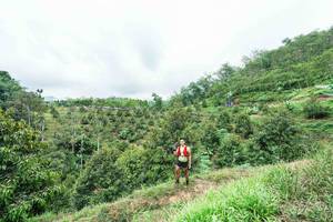 BIB: 
                            <button type="button" onclick="openModal(26396372)" class="btn btn-primary btn-sm float-right btn-popup" data-toggle="modal" data-target=".modal-high-quality">
                        <i class="fas fa-shopping-cart"></i> Add to Cart
                    </button>
                                            <button type="button" onclick="isThisMe(26396372, true)" class="btn btn-success btn-sm float-right btn-popup btn-isme hidden" data-toggle="tooltip" data-placement="bottom" title="นี่คือรูปของคุณใช่ไหม คลิกที่นี่เพื่อเอาเข้าอัลบั้ม">
                        <i class="fas fa-plus"></i> Add to album
                    </button>
                    <button type="button" onclick="isThisMe(26396372, false)" class="btn btn-warning btn-sm float-right btn-popup btn-isnotme hidden">
                        <i class="fas fa-ban"></i> Remove from album
                    </button>