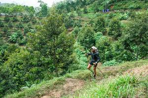 BIB: 
                            <button type="button" onclick="openModal(26397185)" class="btn btn-primary btn-sm float-right btn-popup" data-toggle="modal" data-target=".modal-high-quality">
                        <i class="fas fa-shopping-cart"></i> Add to Cart
                    </button>
                                            <button type="button" onclick="isThisMe(26397185, true)" class="btn btn-success btn-sm float-right btn-popup btn-isme hidden" data-toggle="tooltip" data-placement="bottom" title="นี่คือรูปของคุณใช่ไหม คลิกที่นี่เพื่อเอาเข้าอัลบั้ม">
                        <i class="fas fa-plus"></i> Add to album
                    </button>
                    <button type="button" onclick="isThisMe(26397185, false)" class="btn btn-warning btn-sm float-right btn-popup btn-isnotme hidden">
                        <i class="fas fa-ban"></i> Remove from album
                    </button>