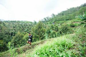 BIB: 
                            <button type="button" onclick="openModal(26395013)" class="btn btn-primary btn-sm float-right btn-popup" data-toggle="modal" data-target=".modal-high-quality">
                        <i class="fas fa-shopping-cart"></i> Add to Cart
                    </button>
                                            <button type="button" onclick="isThisMe(26395013, true)" class="btn btn-success btn-sm float-right btn-popup btn-isme hidden" data-toggle="tooltip" data-placement="bottom" title="นี่คือรูปของคุณใช่ไหม คลิกที่นี่เพื่อเอาเข้าอัลบั้ม">
                        <i class="fas fa-plus"></i> Add to album
                    </button>
                    <button type="button" onclick="isThisMe(26395013, false)" class="btn btn-warning btn-sm float-right btn-popup btn-isnotme hidden">
                        <i class="fas fa-ban"></i> Remove from album
                    </button>