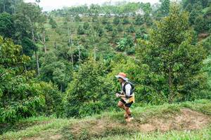 BIB: 
                            <button type="button" onclick="openModal(26397611)" class="btn btn-primary btn-sm float-right btn-popup" data-toggle="modal" data-target=".modal-high-quality">
                        <i class="fas fa-shopping-cart"></i> Add to Cart
                    </button>
                                            <button type="button" onclick="isThisMe(26397611, true)" class="btn btn-success btn-sm float-right btn-popup btn-isme hidden" data-toggle="tooltip" data-placement="bottom" title="นี่คือรูปของคุณใช่ไหม คลิกที่นี่เพื่อเอาเข้าอัลบั้ม">
                        <i class="fas fa-plus"></i> Add to album
                    </button>
                    <button type="button" onclick="isThisMe(26397611, false)" class="btn btn-warning btn-sm float-right btn-popup btn-isnotme hidden">
                        <i class="fas fa-ban"></i> Remove from album
                    </button>