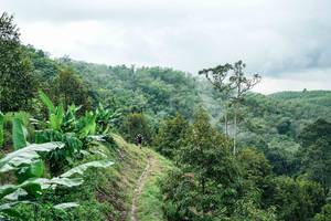 BIB: 
                            <button type="button" onclick="openModal(26396538)" class="btn btn-primary btn-sm float-right btn-popup" data-toggle="modal" data-target=".modal-high-quality">
                        <i class="fas fa-shopping-cart"></i> Add to Cart
                    </button>
                                            <button type="button" onclick="isThisMe(26396538, true)" class="btn btn-success btn-sm float-right btn-popup btn-isme hidden" data-toggle="tooltip" data-placement="bottom" title="นี่คือรูปของคุณใช่ไหม คลิกที่นี่เพื่อเอาเข้าอัลบั้ม">
                        <i class="fas fa-plus"></i> Add to album
                    </button>
                    <button type="button" onclick="isThisMe(26396538, false)" class="btn btn-warning btn-sm float-right btn-popup btn-isnotme hidden">
                        <i class="fas fa-ban"></i> Remove from album
                    </button>