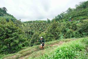 BIB: 
                            <button type="button" onclick="openModal(26396401)" class="btn btn-primary btn-sm float-right btn-popup" data-toggle="modal" data-target=".modal-high-quality">
                        <i class="fas fa-shopping-cart"></i> Add to Cart
                    </button>
                                            <button type="button" onclick="isThisMe(26396401, true)" class="btn btn-success btn-sm float-right btn-popup btn-isme hidden" data-toggle="tooltip" data-placement="bottom" title="นี่คือรูปของคุณใช่ไหม คลิกที่นี่เพื่อเอาเข้าอัลบั้ม">
                        <i class="fas fa-plus"></i> Add to album
                    </button>
                    <button type="button" onclick="isThisMe(26396401, false)" class="btn btn-warning btn-sm float-right btn-popup btn-isnotme hidden">
                        <i class="fas fa-ban"></i> Remove from album
                    </button>