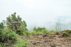 BIB: 
                            <button type="button" onclick="openModal(26389852)" class="btn btn-primary btn-sm float-right btn-popup" data-toggle="modal" data-target=".modal-high-quality">
                        <i class="fas fa-shopping-cart"></i> Add to Cart
                    </button>
                                            <button type="button" onclick="isThisMe(26389852, true)" class="btn btn-success btn-sm float-right btn-popup btn-isme hidden" data-toggle="tooltip" data-placement="bottom" title="นี่คือรูปของคุณใช่ไหม คลิกที่นี่เพื่อเอาเข้าอัลบั้ม">
                        <i class="fas fa-plus"></i> Add to album
                    </button>
                    <button type="button" onclick="isThisMe(26389852, false)" class="btn btn-warning btn-sm float-right btn-popup btn-isnotme hidden">
                        <i class="fas fa-ban"></i> Remove from album
                    </button>