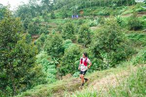 BIB: 
                            <button type="button" onclick="openModal(26397942)" class="btn btn-primary btn-sm float-right btn-popup" data-toggle="modal" data-target=".modal-high-quality">
                        <i class="fas fa-shopping-cart"></i> Add to Cart
                    </button>
                                            <button type="button" onclick="isThisMe(26397942, true)" class="btn btn-success btn-sm float-right btn-popup btn-isme hidden" data-toggle="tooltip" data-placement="bottom" title="นี่คือรูปของคุณใช่ไหม คลิกที่นี่เพื่อเอาเข้าอัลบั้ม">
                        <i class="fas fa-plus"></i> Add to album
                    </button>
                    <button type="button" onclick="isThisMe(26397942, false)" class="btn btn-warning btn-sm float-right btn-popup btn-isnotme hidden">
                        <i class="fas fa-ban"></i> Remove from album
                    </button>