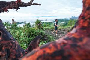 BIB: 
                            <button type="button" onclick="openModal(26372292)" class="btn btn-primary btn-sm float-right btn-popup" data-toggle="modal" data-target=".modal-high-quality">
                        <i class="fas fa-shopping-cart"></i> Add to Cart
                    </button>
                                            <button type="button" onclick="isThisMe(26372292, true)" class="btn btn-success btn-sm float-right btn-popup btn-isme hidden" data-toggle="tooltip" data-placement="bottom" title="นี่คือรูปของคุณใช่ไหม คลิกที่นี่เพื่อเอาเข้าอัลบั้ม">
                        <i class="fas fa-plus"></i> Add to album
                    </button>
                    <button type="button" onclick="isThisMe(26372292, false)" class="btn btn-warning btn-sm float-right btn-popup btn-isnotme hidden">
                        <i class="fas fa-ban"></i> Remove from album
                    </button>