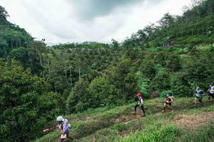 BIB: 
                            <button type="button" onclick="openModal(26394913)" class="btn btn-primary btn-sm float-right btn-popup" data-toggle="modal" data-target=".modal-high-quality">
                        <i class="fas fa-shopping-cart"></i> Add to Cart
                    </button>
                                            <button type="button" onclick="isThisMe(26394913, true)" class="btn btn-success btn-sm float-right btn-popup btn-isme hidden" data-toggle="tooltip" data-placement="bottom" title="นี่คือรูปของคุณใช่ไหม คลิกที่นี่เพื่อเอาเข้าอัลบั้ม">
                        <i class="fas fa-plus"></i> Add to album
                    </button>
                    <button type="button" onclick="isThisMe(26394913, false)" class="btn btn-warning btn-sm float-right btn-popup btn-isnotme hidden">
                        <i class="fas fa-ban"></i> Remove from album
                    </button>