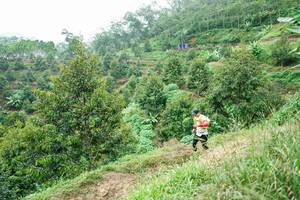 BIB: 
                            <button type="button" onclick="openModal(26397879)" class="btn btn-primary btn-sm float-right btn-popup" data-toggle="modal" data-target=".modal-high-quality">
                        <i class="fas fa-shopping-cart"></i> Add to Cart
                    </button>
                                            <button type="button" onclick="isThisMe(26397879, true)" class="btn btn-success btn-sm float-right btn-popup btn-isme hidden" data-toggle="tooltip" data-placement="bottom" title="นี่คือรูปของคุณใช่ไหม คลิกที่นี่เพื่อเอาเข้าอัลบั้ม">
                        <i class="fas fa-plus"></i> Add to album
                    </button>
                    <button type="button" onclick="isThisMe(26397879, false)" class="btn btn-warning btn-sm float-right btn-popup btn-isnotme hidden">
                        <i class="fas fa-ban"></i> Remove from album
                    </button>