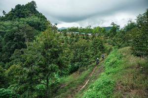 BIB: 
                            <button type="button" onclick="openModal(26396584)" class="btn btn-primary btn-sm float-right btn-popup" data-toggle="modal" data-target=".modal-high-quality">
                        <i class="fas fa-shopping-cart"></i> Add to Cart
                    </button>
                                            <button type="button" onclick="isThisMe(26396584, true)" class="btn btn-success btn-sm float-right btn-popup btn-isme hidden" data-toggle="tooltip" data-placement="bottom" title="นี่คือรูปของคุณใช่ไหม คลิกที่นี่เพื่อเอาเข้าอัลบั้ม">
                        <i class="fas fa-plus"></i> Add to album
                    </button>
                    <button type="button" onclick="isThisMe(26396584, false)" class="btn btn-warning btn-sm float-right btn-popup btn-isnotme hidden">
                        <i class="fas fa-ban"></i> Remove from album
                    </button>