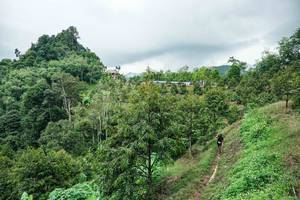 BIB: 
                            <button type="button" onclick="openModal(26396463)" class="btn btn-primary btn-sm float-right btn-popup" data-toggle="modal" data-target=".modal-high-quality">
                        <i class="fas fa-shopping-cart"></i> Add to Cart
                    </button>
                                            <button type="button" onclick="isThisMe(26396463, true)" class="btn btn-success btn-sm float-right btn-popup btn-isme hidden" data-toggle="tooltip" data-placement="bottom" title="นี่คือรูปของคุณใช่ไหม คลิกที่นี่เพื่อเอาเข้าอัลบั้ม">
                        <i class="fas fa-plus"></i> Add to album
                    </button>
                    <button type="button" onclick="isThisMe(26396463, false)" class="btn btn-warning btn-sm float-right btn-popup btn-isnotme hidden">
                        <i class="fas fa-ban"></i> Remove from album
                    </button>