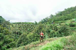 BIB: 
                            <button type="button" onclick="openModal(26396365)" class="btn btn-primary btn-sm float-right btn-popup" data-toggle="modal" data-target=".modal-high-quality">
                        <i class="fas fa-shopping-cart"></i> Add to Cart
                    </button>
                                            <button type="button" onclick="isThisMe(26396365, true)" class="btn btn-success btn-sm float-right btn-popup btn-isme hidden" data-toggle="tooltip" data-placement="bottom" title="นี่คือรูปของคุณใช่ไหม คลิกที่นี่เพื่อเอาเข้าอัลบั้ม">
                        <i class="fas fa-plus"></i> Add to album
                    </button>
                    <button type="button" onclick="isThisMe(26396365, false)" class="btn btn-warning btn-sm float-right btn-popup btn-isnotme hidden">
                        <i class="fas fa-ban"></i> Remove from album
                    </button>