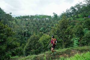 BIB: 
                            <button type="button" onclick="openModal(26395394)" class="btn btn-primary btn-sm float-right btn-popup" data-toggle="modal" data-target=".modal-high-quality">
                        <i class="fas fa-shopping-cart"></i> Add to Cart
                    </button>
                                            <button type="button" onclick="isThisMe(26395394, true)" class="btn btn-success btn-sm float-right btn-popup btn-isme hidden" data-toggle="tooltip" data-placement="bottom" title="นี่คือรูปของคุณใช่ไหม คลิกที่นี่เพื่อเอาเข้าอัลบั้ม">
                        <i class="fas fa-plus"></i> Add to album
                    </button>
                    <button type="button" onclick="isThisMe(26395394, false)" class="btn btn-warning btn-sm float-right btn-popup btn-isnotme hidden">
                        <i class="fas fa-ban"></i> Remove from album
                    </button>