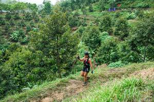 BIB: 
                            <button type="button" onclick="openModal(26397173)" class="btn btn-primary btn-sm float-right btn-popup" data-toggle="modal" data-target=".modal-high-quality">
                        <i class="fas fa-shopping-cart"></i> Add to Cart
                    </button>
                                            <button type="button" onclick="isThisMe(26397173, true)" class="btn btn-success btn-sm float-right btn-popup btn-isme hidden" data-toggle="tooltip" data-placement="bottom" title="นี่คือรูปของคุณใช่ไหม คลิกที่นี่เพื่อเอาเข้าอัลบั้ม">
                        <i class="fas fa-plus"></i> Add to album
                    </button>
                    <button type="button" onclick="isThisMe(26397173, false)" class="btn btn-warning btn-sm float-right btn-popup btn-isnotme hidden">
                        <i class="fas fa-ban"></i> Remove from album
                    </button>