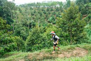 BIB: 
                            <button type="button" onclick="openModal(26397610)" class="btn btn-primary btn-sm float-right btn-popup" data-toggle="modal" data-target=".modal-high-quality">
                        <i class="fas fa-shopping-cart"></i> Add to Cart
                    </button>
                                            <button type="button" onclick="isThisMe(26397610, true)" class="btn btn-success btn-sm float-right btn-popup btn-isme hidden" data-toggle="tooltip" data-placement="bottom" title="นี่คือรูปของคุณใช่ไหม คลิกที่นี่เพื่อเอาเข้าอัลบั้ม">
                        <i class="fas fa-plus"></i> Add to album
                    </button>
                    <button type="button" onclick="isThisMe(26397610, false)" class="btn btn-warning btn-sm float-right btn-popup btn-isnotme hidden">
                        <i class="fas fa-ban"></i> Remove from album
                    </button>