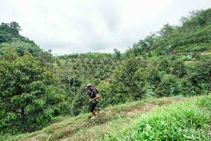 BIB: 
                            <button type="button" onclick="openModal(26396431)" class="btn btn-primary btn-sm float-right btn-popup" data-toggle="modal" data-target=".modal-high-quality">
                        <i class="fas fa-shopping-cart"></i> Add to Cart
                    </button>
                                            <button type="button" onclick="isThisMe(26396431, true)" class="btn btn-success btn-sm float-right btn-popup btn-isme hidden" data-toggle="tooltip" data-placement="bottom" title="นี่คือรูปของคุณใช่ไหม คลิกที่นี่เพื่อเอาเข้าอัลบั้ม">
                        <i class="fas fa-plus"></i> Add to album
                    </button>
                    <button type="button" onclick="isThisMe(26396431, false)" class="btn btn-warning btn-sm float-right btn-popup btn-isnotme hidden">
                        <i class="fas fa-ban"></i> Remove from album
                    </button>