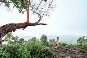 BIB: 
                            <button type="button" onclick="openModal(26510713)" class="btn btn-primary btn-sm float-right btn-popup" data-toggle="modal" data-target=".modal-high-quality">
                        <i class="fas fa-shopping-cart"></i> Add to Cart
                    </button>
                                            <button type="button" onclick="isThisMe(26510713, true)" class="btn btn-success btn-sm float-right btn-popup btn-isme hidden" data-toggle="tooltip" data-placement="bottom" title="นี่คือรูปของคุณใช่ไหม คลิกที่นี่เพื่อเอาเข้าอัลบั้ม">
                        <i class="fas fa-plus"></i> Add to album
                    </button>
                    <button type="button" onclick="isThisMe(26510713, false)" class="btn btn-warning btn-sm float-right btn-popup btn-isnotme hidden">
                        <i class="fas fa-ban"></i> Remove from album
                    </button>