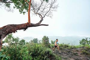 BIB: 
                            <button type="button" onclick="openModal(26510707)" class="btn btn-primary btn-sm float-right btn-popup" data-toggle="modal" data-target=".modal-high-quality">
                        <i class="fas fa-shopping-cart"></i> Add to Cart
                    </button>
                                            <button type="button" onclick="isThisMe(26510707, true)" class="btn btn-success btn-sm float-right btn-popup btn-isme hidden" data-toggle="tooltip" data-placement="bottom" title="นี่คือรูปของคุณใช่ไหม คลิกที่นี่เพื่อเอาเข้าอัลบั้ม">
                        <i class="fas fa-plus"></i> Add to album
                    </button>
                    <button type="button" onclick="isThisMe(26510707, false)" class="btn btn-warning btn-sm float-right btn-popup btn-isnotme hidden">
                        <i class="fas fa-ban"></i> Remove from album
                    </button>