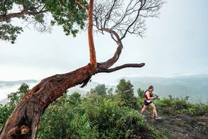 BIB: 
                            <button type="button" onclick="openModal(26510754)" class="btn btn-primary btn-sm float-right btn-popup" data-toggle="modal" data-target=".modal-high-quality">
                        <i class="fas fa-shopping-cart"></i> Add to Cart
                    </button>
                                            <button type="button" onclick="isThisMe(26510754, true)" class="btn btn-success btn-sm float-right btn-popup btn-isme hidden" data-toggle="tooltip" data-placement="bottom" title="นี่คือรูปของคุณใช่ไหม คลิกที่นี่เพื่อเอาเข้าอัลบั้ม">
                        <i class="fas fa-plus"></i> Add to album
                    </button>
                    <button type="button" onclick="isThisMe(26510754, false)" class="btn btn-warning btn-sm float-right btn-popup btn-isnotme hidden">
                        <i class="fas fa-ban"></i> Remove from album
                    </button>