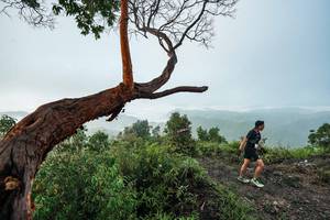 BIB: 
                            <button type="button" onclick="openModal(26510743)" class="btn btn-primary btn-sm float-right btn-popup" data-toggle="modal" data-target=".modal-high-quality">
                        <i class="fas fa-shopping-cart"></i> Add to Cart
                    </button>
                                            <button type="button" onclick="isThisMe(26510743, true)" class="btn btn-success btn-sm float-right btn-popup btn-isme hidden" data-toggle="tooltip" data-placement="bottom" title="นี่คือรูปของคุณใช่ไหม คลิกที่นี่เพื่อเอาเข้าอัลบั้ม">
                        <i class="fas fa-plus"></i> Add to album
                    </button>
                    <button type="button" onclick="isThisMe(26510743, false)" class="btn btn-warning btn-sm float-right btn-popup btn-isnotme hidden">
                        <i class="fas fa-ban"></i> Remove from album
                    </button>