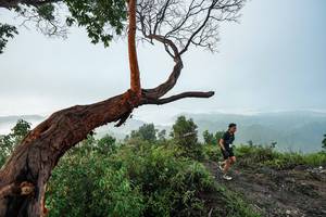 BIB: 
                            <button type="button" onclick="openModal(26510735)" class="btn btn-primary btn-sm float-right btn-popup" data-toggle="modal" data-target=".modal-high-quality">
                        <i class="fas fa-shopping-cart"></i> Add to Cart
                    </button>
                                            <button type="button" onclick="isThisMe(26510735, true)" class="btn btn-success btn-sm float-right btn-popup btn-isme hidden" data-toggle="tooltip" data-placement="bottom" title="นี่คือรูปของคุณใช่ไหม คลิกที่นี่เพื่อเอาเข้าอัลบั้ม">
                        <i class="fas fa-plus"></i> Add to album
                    </button>
                    <button type="button" onclick="isThisMe(26510735, false)" class="btn btn-warning btn-sm float-right btn-popup btn-isnotme hidden">
                        <i class="fas fa-ban"></i> Remove from album
                    </button>