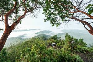 BIB: 
                            <button type="button" onclick="openModal(26510903)" class="btn btn-primary btn-sm float-right btn-popup" data-toggle="modal" data-target=".modal-high-quality">
                        <i class="fas fa-shopping-cart"></i> Add to Cart
                    </button>
                                            <button type="button" onclick="isThisMe(26510903, true)" class="btn btn-success btn-sm float-right btn-popup btn-isme hidden" data-toggle="tooltip" data-placement="bottom" title="นี่คือรูปของคุณใช่ไหม คลิกที่นี่เพื่อเอาเข้าอัลบั้ม">
                        <i class="fas fa-plus"></i> Add to album
                    </button>
                    <button type="button" onclick="isThisMe(26510903, false)" class="btn btn-warning btn-sm float-right btn-popup btn-isnotme hidden">
                        <i class="fas fa-ban"></i> Remove from album
                    </button>