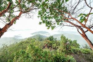 BIB: 
                            <button type="button" onclick="openModal(26510823)" class="btn btn-primary btn-sm float-right btn-popup" data-toggle="modal" data-target=".modal-high-quality">
                        <i class="fas fa-shopping-cart"></i> Add to Cart
                    </button>
                                            <button type="button" onclick="isThisMe(26510823, true)" class="btn btn-success btn-sm float-right btn-popup btn-isme hidden" data-toggle="tooltip" data-placement="bottom" title="นี่คือรูปของคุณใช่ไหม คลิกที่นี่เพื่อเอาเข้าอัลบั้ม">
                        <i class="fas fa-plus"></i> Add to album
                    </button>
                    <button type="button" onclick="isThisMe(26510823, false)" class="btn btn-warning btn-sm float-right btn-popup btn-isnotme hidden">
                        <i class="fas fa-ban"></i> Remove from album
                    </button>