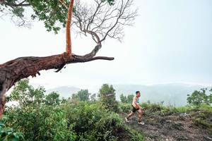 BIB: 
                            <button type="button" onclick="openModal(26510710)" class="btn btn-primary btn-sm float-right btn-popup" data-toggle="modal" data-target=".modal-high-quality">
                        <i class="fas fa-shopping-cart"></i> Add to Cart
                    </button>
                                            <button type="button" onclick="isThisMe(26510710, true)" class="btn btn-success btn-sm float-right btn-popup btn-isme hidden" data-toggle="tooltip" data-placement="bottom" title="นี่คือรูปของคุณใช่ไหม คลิกที่นี่เพื่อเอาเข้าอัลบั้ม">
                        <i class="fas fa-plus"></i> Add to album
                    </button>
                    <button type="button" onclick="isThisMe(26510710, false)" class="btn btn-warning btn-sm float-right btn-popup btn-isnotme hidden">
                        <i class="fas fa-ban"></i> Remove from album
                    </button>