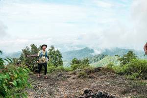 BIB: 
                            <button type="button" onclick="openModal(26514840)" class="btn btn-primary btn-sm float-right btn-popup" data-toggle="modal" data-target=".modal-high-quality">
                        <i class="fas fa-shopping-cart"></i> Add to Cart
                    </button>
                                            <button type="button" onclick="isThisMe(26514840, true)" class="btn btn-success btn-sm float-right btn-popup btn-isme hidden" data-toggle="tooltip" data-placement="bottom" title="นี่คือรูปของคุณใช่ไหม คลิกที่นี่เพื่อเอาเข้าอัลบั้ม">
                        <i class="fas fa-plus"></i> Add to album
                    </button>
                    <button type="button" onclick="isThisMe(26514840, false)" class="btn btn-warning btn-sm float-right btn-popup btn-isnotme hidden">
                        <i class="fas fa-ban"></i> Remove from album
                    </button>