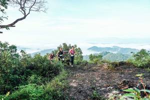 BIB: 
                            <button type="button" onclick="openModal(26511044)" class="btn btn-primary btn-sm float-right btn-popup" data-toggle="modal" data-target=".modal-high-quality">
                        <i class="fas fa-shopping-cart"></i> Add to Cart
                    </button>
                                            <button type="button" onclick="isThisMe(26511044, true)" class="btn btn-success btn-sm float-right btn-popup btn-isme hidden" data-toggle="tooltip" data-placement="bottom" title="นี่คือรูปของคุณใช่ไหม คลิกที่นี่เพื่อเอาเข้าอัลบั้ม">
                        <i class="fas fa-plus"></i> Add to album
                    </button>
                    <button type="button" onclick="isThisMe(26511044, false)" class="btn btn-warning btn-sm float-right btn-popup btn-isnotme hidden">
                        <i class="fas fa-ban"></i> Remove from album
                    </button>