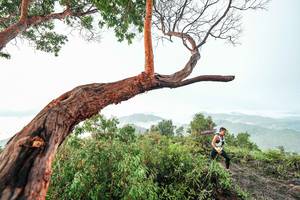 BIB: 
                            <button type="button" onclick="openModal(26510785)" class="btn btn-primary btn-sm float-right btn-popup" data-toggle="modal" data-target=".modal-high-quality">
                        <i class="fas fa-shopping-cart"></i> Add to Cart
                    </button>
                                            <button type="button" onclick="isThisMe(26510785, true)" class="btn btn-success btn-sm float-right btn-popup btn-isme hidden" data-toggle="tooltip" data-placement="bottom" title="นี่คือรูปของคุณใช่ไหม คลิกที่นี่เพื่อเอาเข้าอัลบั้ม">
                        <i class="fas fa-plus"></i> Add to album
                    </button>
                    <button type="button" onclick="isThisMe(26510785, false)" class="btn btn-warning btn-sm float-right btn-popup btn-isnotme hidden">
                        <i class="fas fa-ban"></i> Remove from album
                    </button>