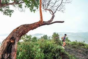 BIB: 
                            <button type="button" onclick="openModal(26510803)" class="btn btn-primary btn-sm float-right btn-popup" data-toggle="modal" data-target=".modal-high-quality">
                        <i class="fas fa-shopping-cart"></i> Add to Cart
                    </button>
                                            <button type="button" onclick="isThisMe(26510803, true)" class="btn btn-success btn-sm float-right btn-popup btn-isme hidden" data-toggle="tooltip" data-placement="bottom" title="นี่คือรูปของคุณใช่ไหม คลิกที่นี่เพื่อเอาเข้าอัลบั้ม">
                        <i class="fas fa-plus"></i> Add to album
                    </button>
                    <button type="button" onclick="isThisMe(26510803, false)" class="btn btn-warning btn-sm float-right btn-popup btn-isnotme hidden">
                        <i class="fas fa-ban"></i> Remove from album
                    </button>