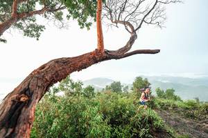 BIB: 
                            <button type="button" onclick="openModal(26510761)" class="btn btn-primary btn-sm float-right btn-popup" data-toggle="modal" data-target=".modal-high-quality">
                        <i class="fas fa-shopping-cart"></i> Add to Cart
                    </button>
                                            <button type="button" onclick="isThisMe(26510761, true)" class="btn btn-success btn-sm float-right btn-popup btn-isme hidden" data-toggle="tooltip" data-placement="bottom" title="นี่คือรูปของคุณใช่ไหม คลิกที่นี่เพื่อเอาเข้าอัลบั้ม">
                        <i class="fas fa-plus"></i> Add to album
                    </button>
                    <button type="button" onclick="isThisMe(26510761, false)" class="btn btn-warning btn-sm float-right btn-popup btn-isnotme hidden">
                        <i class="fas fa-ban"></i> Remove from album
                    </button>