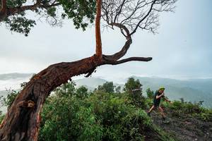 BIB: 
                            <button type="button" onclick="openModal(26510727)" class="btn btn-primary btn-sm float-right btn-popup" data-toggle="modal" data-target=".modal-high-quality">
                        <i class="fas fa-shopping-cart"></i> Add to Cart
                    </button>
                                            <button type="button" onclick="isThisMe(26510727, true)" class="btn btn-success btn-sm float-right btn-popup btn-isme hidden" data-toggle="tooltip" data-placement="bottom" title="นี่คือรูปของคุณใช่ไหม คลิกที่นี่เพื่อเอาเข้าอัลบั้ม">
                        <i class="fas fa-plus"></i> Add to album
                    </button>
                    <button type="button" onclick="isThisMe(26510727, false)" class="btn btn-warning btn-sm float-right btn-popup btn-isnotme hidden">
                        <i class="fas fa-ban"></i> Remove from album
                    </button>