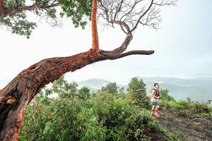 BIB: 
                            <button type="button" onclick="openModal(26510769)" class="btn btn-primary btn-sm float-right btn-popup" data-toggle="modal" data-target=".modal-high-quality">
                        <i class="fas fa-shopping-cart"></i> Add to Cart
                    </button>
                                            <button type="button" onclick="isThisMe(26510769, true)" class="btn btn-success btn-sm float-right btn-popup btn-isme hidden" data-toggle="tooltip" data-placement="bottom" title="นี่คือรูปของคุณใช่ไหม คลิกที่นี่เพื่อเอาเข้าอัลบั้ม">
                        <i class="fas fa-plus"></i> Add to album
                    </button>
                    <button type="button" onclick="isThisMe(26510769, false)" class="btn btn-warning btn-sm float-right btn-popup btn-isnotme hidden">
                        <i class="fas fa-ban"></i> Remove from album
                    </button>