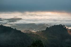 BIB: 
                            <button type="button" onclick="openModal(26510696)" class="btn btn-primary btn-sm float-right btn-popup" data-toggle="modal" data-target=".modal-high-quality">
                        <i class="fas fa-shopping-cart"></i> Add to Cart
                    </button>
                                            <button type="button" onclick="isThisMe(26510696, true)" class="btn btn-success btn-sm float-right btn-popup btn-isme hidden" data-toggle="tooltip" data-placement="bottom" title="นี่คือรูปของคุณใช่ไหม คลิกที่นี่เพื่อเอาเข้าอัลบั้ม">
                        <i class="fas fa-plus"></i> Add to album
                    </button>
                    <button type="button" onclick="isThisMe(26510696, false)" class="btn btn-warning btn-sm float-right btn-popup btn-isnotme hidden">
                        <i class="fas fa-ban"></i> Remove from album
                    </button>