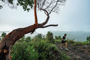 BIB: 
                            <button type="button" onclick="openModal(26510737)" class="btn btn-primary btn-sm float-right btn-popup" data-toggle="modal" data-target=".modal-high-quality">
                        <i class="fas fa-shopping-cart"></i> Add to Cart
                    </button>
                                            <button type="button" onclick="isThisMe(26510737, true)" class="btn btn-success btn-sm float-right btn-popup btn-isme hidden" data-toggle="tooltip" data-placement="bottom" title="นี่คือรูปของคุณใช่ไหม คลิกที่นี่เพื่อเอาเข้าอัลบั้ม">
                        <i class="fas fa-plus"></i> Add to album
                    </button>
                    <button type="button" onclick="isThisMe(26510737, false)" class="btn btn-warning btn-sm float-right btn-popup btn-isnotme hidden">
                        <i class="fas fa-ban"></i> Remove from album
                    </button>