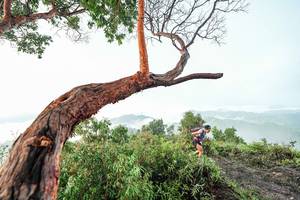 BIB: 
                            <button type="button" onclick="openModal(26510800)" class="btn btn-primary btn-sm float-right btn-popup" data-toggle="modal" data-target=".modal-high-quality">
                        <i class="fas fa-shopping-cart"></i> Add to Cart
                    </button>
                                            <button type="button" onclick="isThisMe(26510800, true)" class="btn btn-success btn-sm float-right btn-popup btn-isme hidden" data-toggle="tooltip" data-placement="bottom" title="นี่คือรูปของคุณใช่ไหม คลิกที่นี่เพื่อเอาเข้าอัลบั้ม">
                        <i class="fas fa-plus"></i> Add to album
                    </button>
                    <button type="button" onclick="isThisMe(26510800, false)" class="btn btn-warning btn-sm float-right btn-popup btn-isnotme hidden">
                        <i class="fas fa-ban"></i> Remove from album
                    </button>