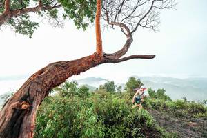 BIB: 
                            <button type="button" onclick="openModal(26510787)" class="btn btn-primary btn-sm float-right btn-popup" data-toggle="modal" data-target=".modal-high-quality">
                        <i class="fas fa-shopping-cart"></i> Add to Cart
                    </button>
                                            <button type="button" onclick="isThisMe(26510787, true)" class="btn btn-success btn-sm float-right btn-popup btn-isme hidden" data-toggle="tooltip" data-placement="bottom" title="นี่คือรูปของคุณใช่ไหม คลิกที่นี่เพื่อเอาเข้าอัลบั้ม">
                        <i class="fas fa-plus"></i> Add to album
                    </button>
                    <button type="button" onclick="isThisMe(26510787, false)" class="btn btn-warning btn-sm float-right btn-popup btn-isnotme hidden">
                        <i class="fas fa-ban"></i> Remove from album
                    </button>