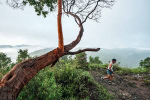 BIB: 
                            <button type="button" onclick="openModal(26510751)" class="btn btn-primary btn-sm float-right btn-popup" data-toggle="modal" data-target=".modal-high-quality">
                        <i class="fas fa-shopping-cart"></i> Add to Cart
                    </button>
                                            <button type="button" onclick="isThisMe(26510751, true)" class="btn btn-success btn-sm float-right btn-popup btn-isme hidden" data-toggle="tooltip" data-placement="bottom" title="นี่คือรูปของคุณใช่ไหม คลิกที่นี่เพื่อเอาเข้าอัลบั้ม">
                        <i class="fas fa-plus"></i> Add to album
                    </button>
                    <button type="button" onclick="isThisMe(26510751, false)" class="btn btn-warning btn-sm float-right btn-popup btn-isnotme hidden">
                        <i class="fas fa-ban"></i> Remove from album
                    </button>