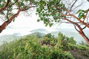 BIB: 
                            <button type="button" onclick="openModal(26510820)" class="btn btn-primary btn-sm float-right btn-popup" data-toggle="modal" data-target=".modal-high-quality">
                        <i class="fas fa-shopping-cart"></i> Add to Cart
                    </button>
                                            <button type="button" onclick="isThisMe(26510820, true)" class="btn btn-success btn-sm float-right btn-popup btn-isme hidden" data-toggle="tooltip" data-placement="bottom" title="นี่คือรูปของคุณใช่ไหม คลิกที่นี่เพื่อเอาเข้าอัลบั้ม">
                        <i class="fas fa-plus"></i> Add to album
                    </button>
                    <button type="button" onclick="isThisMe(26510820, false)" class="btn btn-warning btn-sm float-right btn-popup btn-isnotme hidden">
                        <i class="fas fa-ban"></i> Remove from album
                    </button>