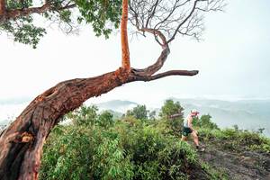 BIB: 
                            <button type="button" onclick="openModal(26510793)" class="btn btn-primary btn-sm float-right btn-popup" data-toggle="modal" data-target=".modal-high-quality">
                        <i class="fas fa-shopping-cart"></i> Add to Cart
                    </button>
                                            <button type="button" onclick="isThisMe(26510793, true)" class="btn btn-success btn-sm float-right btn-popup btn-isme hidden" data-toggle="tooltip" data-placement="bottom" title="นี่คือรูปของคุณใช่ไหม คลิกที่นี่เพื่อเอาเข้าอัลบั้ม">
                        <i class="fas fa-plus"></i> Add to album
                    </button>
                    <button type="button" onclick="isThisMe(26510793, false)" class="btn btn-warning btn-sm float-right btn-popup btn-isnotme hidden">
                        <i class="fas fa-ban"></i> Remove from album
                    </button>