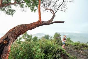 BIB: 
                            <button type="button" onclick="openModal(26510767)" class="btn btn-primary btn-sm float-right btn-popup" data-toggle="modal" data-target=".modal-high-quality">
                        <i class="fas fa-shopping-cart"></i> Add to Cart
                    </button>
                                            <button type="button" onclick="isThisMe(26510767, true)" class="btn btn-success btn-sm float-right btn-popup btn-isme hidden" data-toggle="tooltip" data-placement="bottom" title="นี่คือรูปของคุณใช่ไหม คลิกที่นี่เพื่อเอาเข้าอัลบั้ม">
                        <i class="fas fa-plus"></i> Add to album
                    </button>
                    <button type="button" onclick="isThisMe(26510767, false)" class="btn btn-warning btn-sm float-right btn-popup btn-isnotme hidden">
                        <i class="fas fa-ban"></i> Remove from album
                    </button>