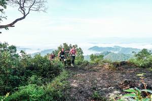 BIB: 
                            <button type="button" onclick="openModal(26511045)" class="btn btn-primary btn-sm float-right btn-popup" data-toggle="modal" data-target=".modal-high-quality">
                        <i class="fas fa-shopping-cart"></i> Add to Cart
                    </button>
                                            <button type="button" onclick="isThisMe(26511045, true)" class="btn btn-success btn-sm float-right btn-popup btn-isme hidden" data-toggle="tooltip" data-placement="bottom" title="นี่คือรูปของคุณใช่ไหม คลิกที่นี่เพื่อเอาเข้าอัลบั้ม">
                        <i class="fas fa-plus"></i> Add to album
                    </button>
                    <button type="button" onclick="isThisMe(26511045, false)" class="btn btn-warning btn-sm float-right btn-popup btn-isnotme hidden">
                        <i class="fas fa-ban"></i> Remove from album
                    </button>