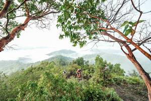 BIB: 
                            <button type="button" onclick="openModal(26510833)" class="btn btn-primary btn-sm float-right btn-popup" data-toggle="modal" data-target=".modal-high-quality">
                        <i class="fas fa-shopping-cart"></i> Add to Cart
                    </button>
                                            <button type="button" onclick="isThisMe(26510833, true)" class="btn btn-success btn-sm float-right btn-popup btn-isme hidden" data-toggle="tooltip" data-placement="bottom" title="นี่คือรูปของคุณใช่ไหม คลิกที่นี่เพื่อเอาเข้าอัลบั้ม">
                        <i class="fas fa-plus"></i> Add to album
                    </button>
                    <button type="button" onclick="isThisMe(26510833, false)" class="btn btn-warning btn-sm float-right btn-popup btn-isnotme hidden">
                        <i class="fas fa-ban"></i> Remove from album
                    </button>