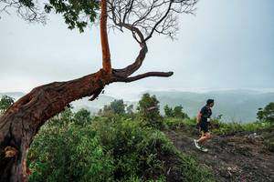 BIB: 
                            <button type="button" onclick="openModal(26510742)" class="btn btn-primary btn-sm float-right btn-popup" data-toggle="modal" data-target=".modal-high-quality">
                        <i class="fas fa-shopping-cart"></i> Add to Cart
                    </button>
                                            <button type="button" onclick="isThisMe(26510742, true)" class="btn btn-success btn-sm float-right btn-popup btn-isme hidden" data-toggle="tooltip" data-placement="bottom" title="นี่คือรูปของคุณใช่ไหม คลิกที่นี่เพื่อเอาเข้าอัลบั้ม">
                        <i class="fas fa-plus"></i> Add to album
                    </button>
                    <button type="button" onclick="isThisMe(26510742, false)" class="btn btn-warning btn-sm float-right btn-popup btn-isnotme hidden">
                        <i class="fas fa-ban"></i> Remove from album
                    </button>