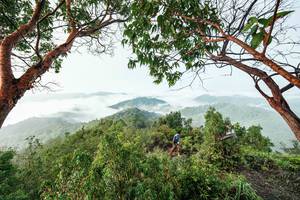 BIB: 
                            <button type="button" onclick="openModal(26510885)" class="btn btn-primary btn-sm float-right btn-popup" data-toggle="modal" data-target=".modal-high-quality">
                        <i class="fas fa-shopping-cart"></i> Add to Cart
                    </button>
                                            <button type="button" onclick="isThisMe(26510885, true)" class="btn btn-success btn-sm float-right btn-popup btn-isme hidden" data-toggle="tooltip" data-placement="bottom" title="นี่คือรูปของคุณใช่ไหม คลิกที่นี่เพื่อเอาเข้าอัลบั้ม">
                        <i class="fas fa-plus"></i> Add to album
                    </button>
                    <button type="button" onclick="isThisMe(26510885, false)" class="btn btn-warning btn-sm float-right btn-popup btn-isnotme hidden">
                        <i class="fas fa-ban"></i> Remove from album
                    </button>