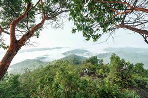 BIB: 
                            <button type="button" onclick="openModal(26510898)" class="btn btn-primary btn-sm float-right btn-popup" data-toggle="modal" data-target=".modal-high-quality">
                        <i class="fas fa-shopping-cart"></i> Add to Cart
                    </button>
                                            <button type="button" onclick="isThisMe(26510898, true)" class="btn btn-success btn-sm float-right btn-popup btn-isme hidden" data-toggle="tooltip" data-placement="bottom" title="นี่คือรูปของคุณใช่ไหม คลิกที่นี่เพื่อเอาเข้าอัลบั้ม">
                        <i class="fas fa-plus"></i> Add to album
                    </button>
                    <button type="button" onclick="isThisMe(26510898, false)" class="btn btn-warning btn-sm float-right btn-popup btn-isnotme hidden">
                        <i class="fas fa-ban"></i> Remove from album
                    </button>