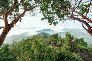 BIB: 
                            <button type="button" onclick="openModal(26510869)" class="btn btn-primary btn-sm float-right btn-popup" data-toggle="modal" data-target=".modal-high-quality">
                        <i class="fas fa-shopping-cart"></i> Add to Cart
                    </button>
                                            <button type="button" onclick="isThisMe(26510869, true)" class="btn btn-success btn-sm float-right btn-popup btn-isme hidden" data-toggle="tooltip" data-placement="bottom" title="นี่คือรูปของคุณใช่ไหม คลิกที่นี่เพื่อเอาเข้าอัลบั้ม">
                        <i class="fas fa-plus"></i> Add to album
                    </button>
                    <button type="button" onclick="isThisMe(26510869, false)" class="btn btn-warning btn-sm float-right btn-popup btn-isnotme hidden">
                        <i class="fas fa-ban"></i> Remove from album
                    </button>