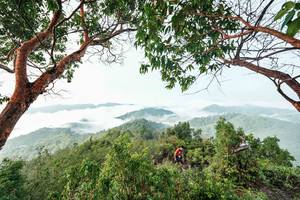 BIB: 
                            <button type="button" onclick="openModal(26510862)" class="btn btn-primary btn-sm float-right btn-popup" data-toggle="modal" data-target=".modal-high-quality">
                        <i class="fas fa-shopping-cart"></i> Add to Cart
                    </button>
                                            <button type="button" onclick="isThisMe(26510862, true)" class="btn btn-success btn-sm float-right btn-popup btn-isme hidden" data-toggle="tooltip" data-placement="bottom" title="นี่คือรูปของคุณใช่ไหม คลิกที่นี่เพื่อเอาเข้าอัลบั้ม">
                        <i class="fas fa-plus"></i> Add to album
                    </button>
                    <button type="button" onclick="isThisMe(26510862, false)" class="btn btn-warning btn-sm float-right btn-popup btn-isnotme hidden">
                        <i class="fas fa-ban"></i> Remove from album
                    </button>