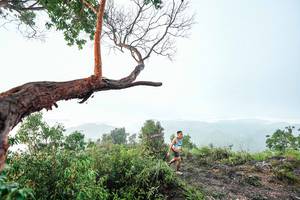 BIB: 
                            <button type="button" onclick="openModal(26510705)" class="btn btn-primary btn-sm float-right btn-popup" data-toggle="modal" data-target=".modal-high-quality">
                        <i class="fas fa-shopping-cart"></i> Add to Cart
                    </button>
                                            <button type="button" onclick="isThisMe(26510705, true)" class="btn btn-success btn-sm float-right btn-popup btn-isme hidden" data-toggle="tooltip" data-placement="bottom" title="นี่คือรูปของคุณใช่ไหม คลิกที่นี่เพื่อเอาเข้าอัลบั้ม">
                        <i class="fas fa-plus"></i> Add to album
                    </button>
                    <button type="button" onclick="isThisMe(26510705, false)" class="btn btn-warning btn-sm float-right btn-popup btn-isnotme hidden">
                        <i class="fas fa-ban"></i> Remove from album
                    </button>